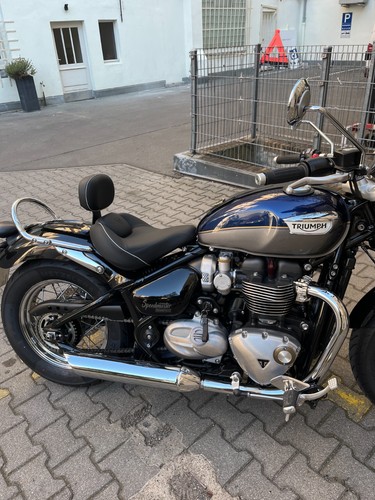 Fahrer sissy bar triumph - sissy,